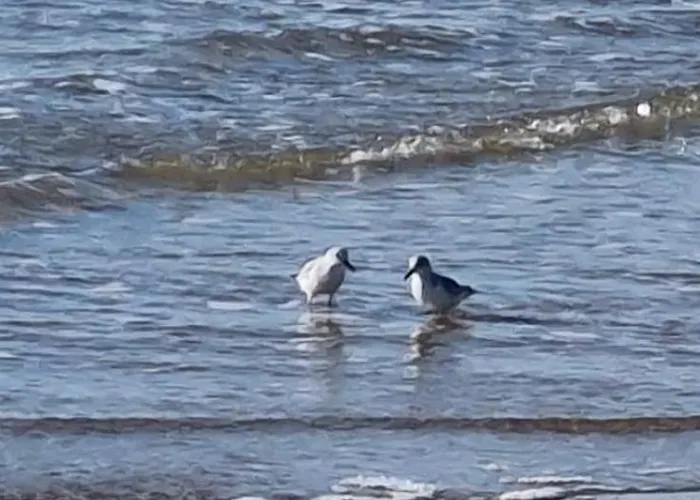 Сasa de vacaciones Le Fief Des Roses Les Mathes